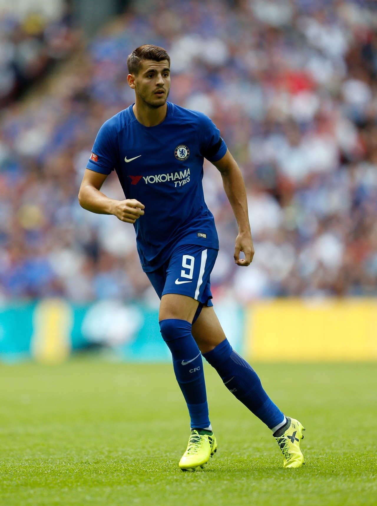 更是对所有 更是对所有